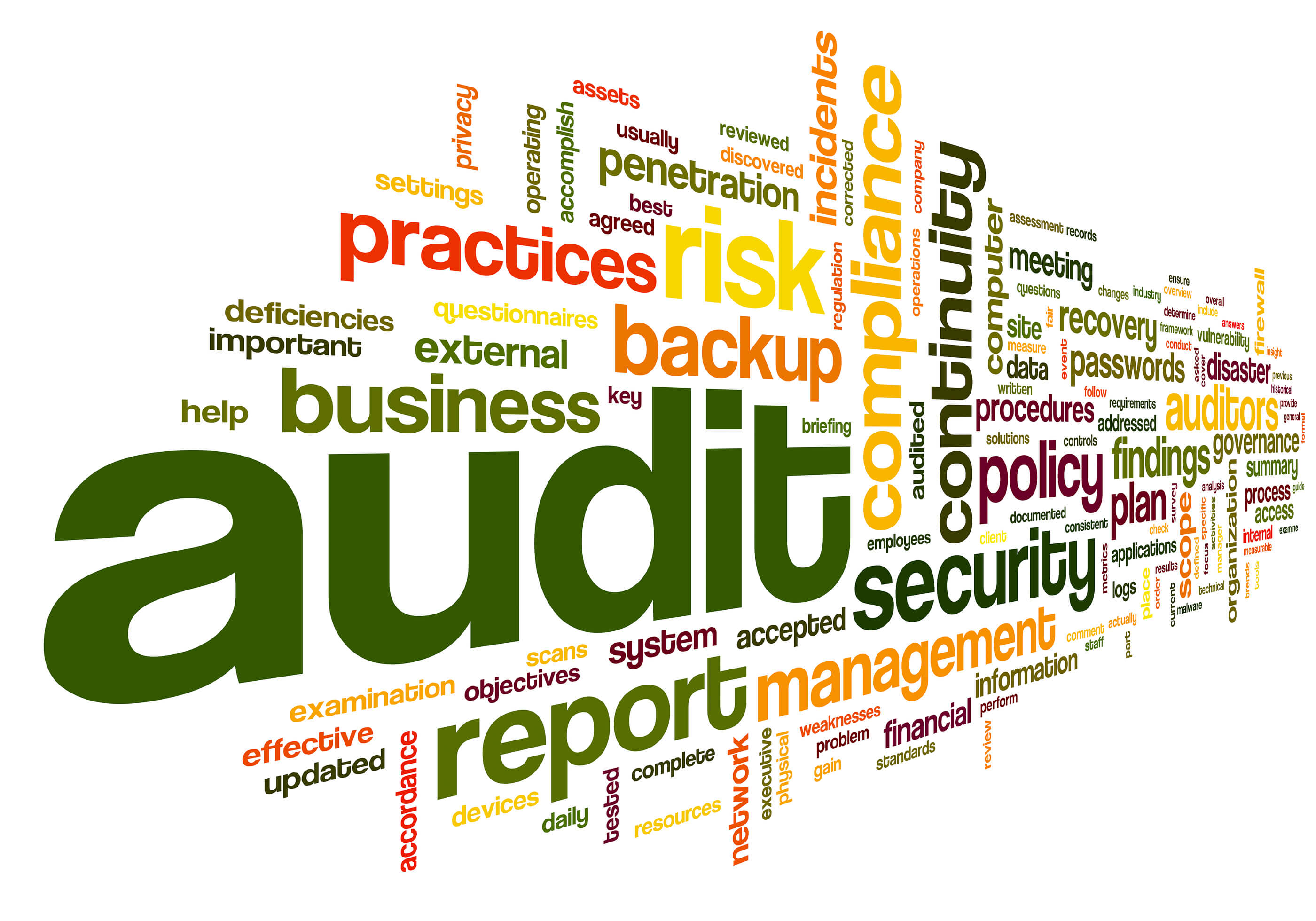 Information technology audit